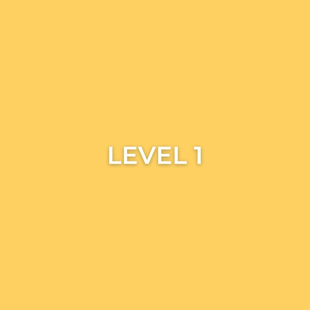 Level 1 Courses