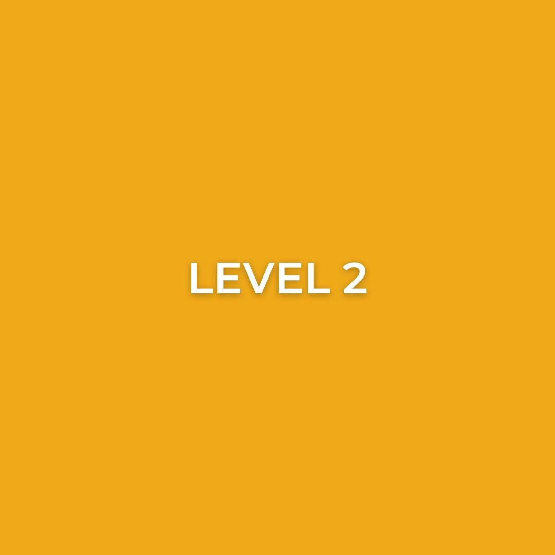 Level 2 Courses