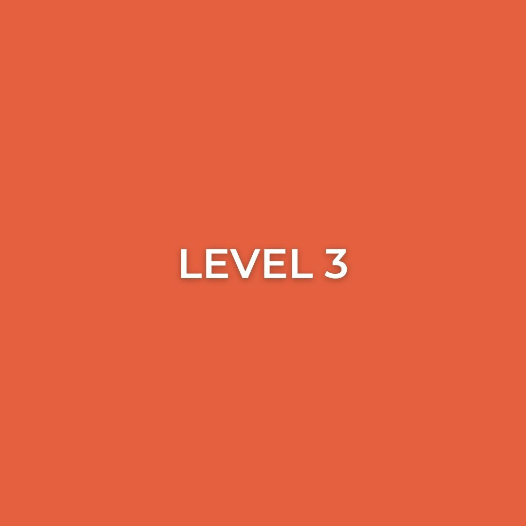 Level 3 Courses