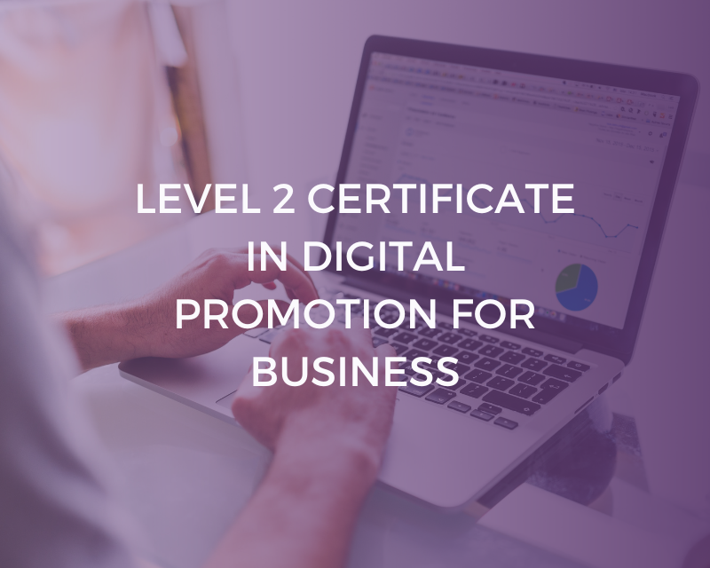 Digital Method Promotion Level 2 Certificate in Digital Promotion for Business – Learning Curve ...