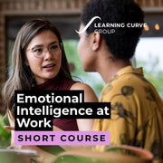Emotional Intelligence at Work