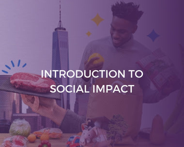 Introduction to Social Impact