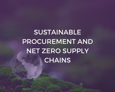 Sustainable Procurement and Net Zero Supply Chains