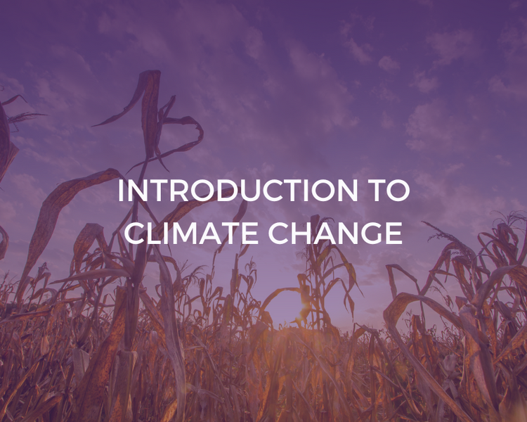 Introduction to Climate Change – Learning Curve Group