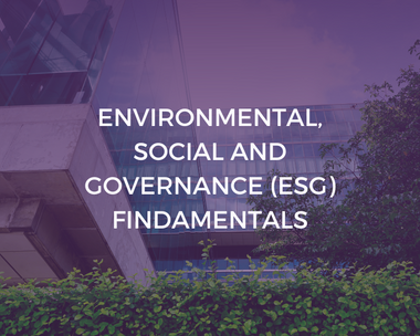 Environmental, Social and Governance (ESG) Fundamentals