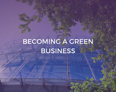 Becoming a Green Business