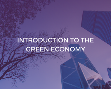 Introduction to the Green Economy