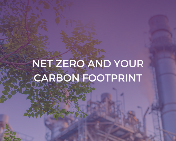 Net Zero and Your Carbon Footprint Learning Curve Group