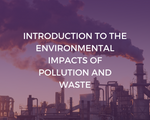 Introduction to the Environmental Impacts of Pollution and Waste