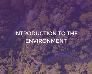 Introduction to the Environment