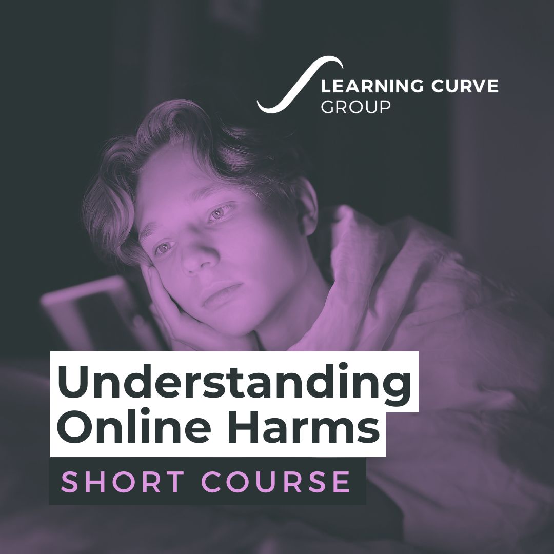 Understanding Online Harms