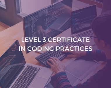 Level 3 Online Courses | Learning Curve Group