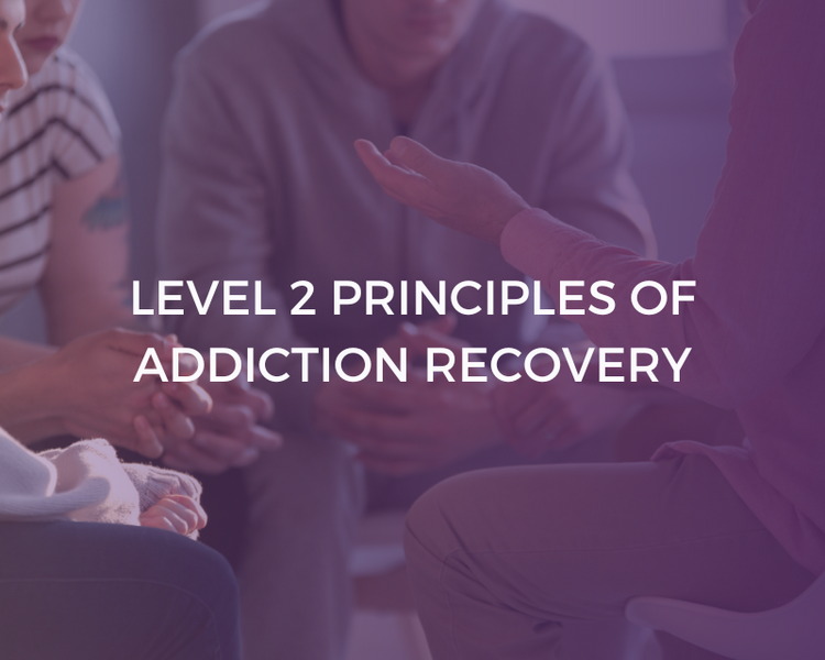 Principles of Addiction Recovery | LCG – Learning Curve Group
