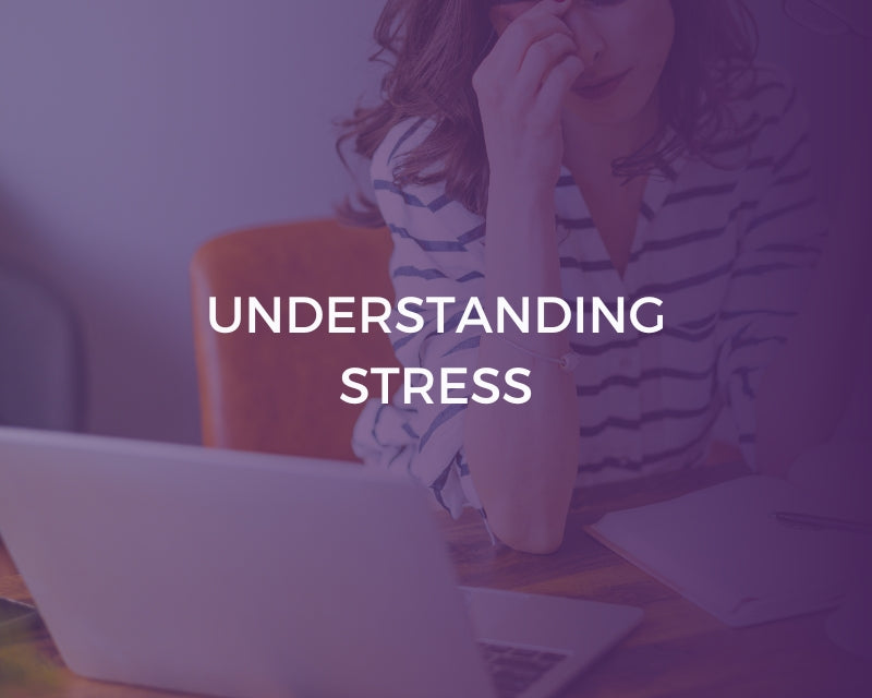 Understanding Stress | Enrichment | LCG – Learning Curve Group